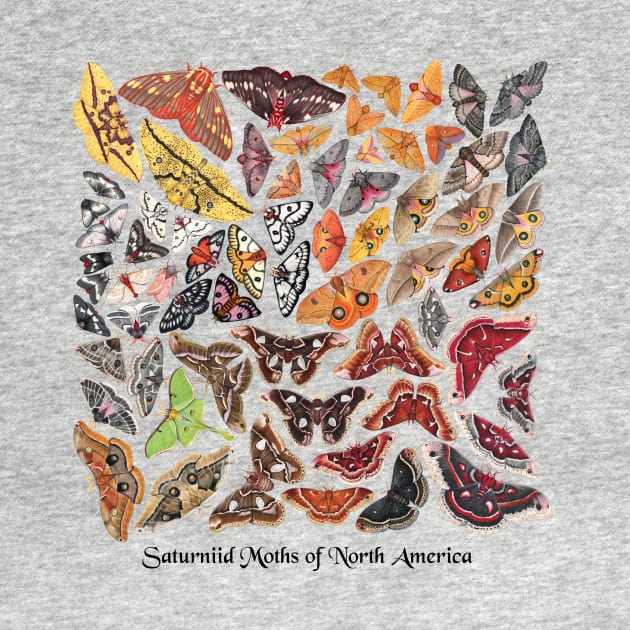 Saturniid Moths of North America by JadaFitch